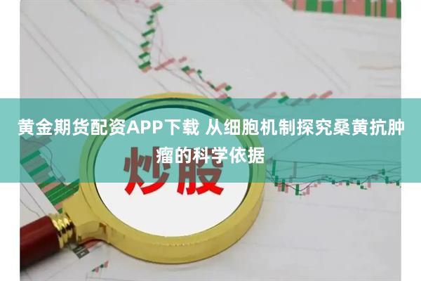 黄金期货配资APP下载 从细胞机制探究桑黄抗肿瘤的科学依据