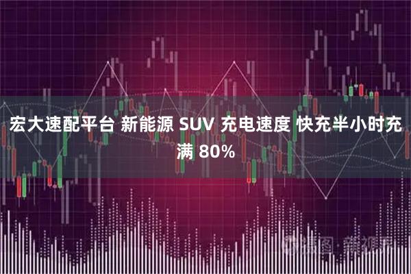 宏大速配平台 新能源 SUV 充电速度 快充半小时充满 80%
